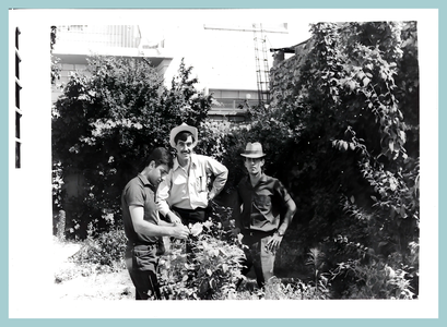 39-Baghdad-University-Engineering-Salman-Alani.